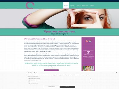 professional-coaching-4u.online snapshot