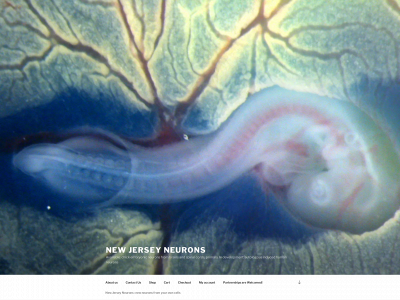 newjerseyneurons.com snapshot