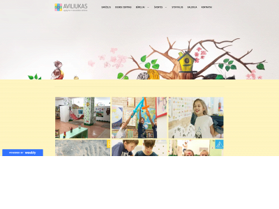 www.aviliukas.com snapshot