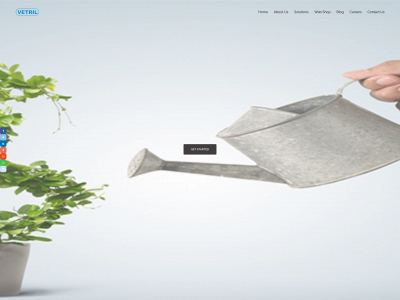 vetrilsystems.com snapshot