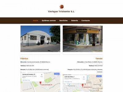 enriquetristante.com snapshot