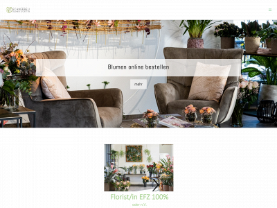 blumenschneebeli.ch snapshot