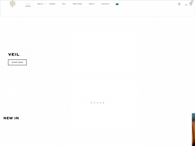 shallboutique.com snapshot