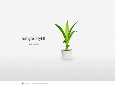 aimyoustyl.lt snapshot