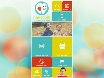 tinytoothdentist.com snapshot