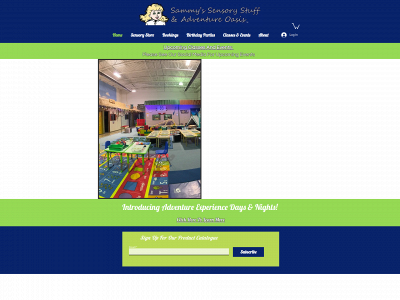 sammyssensorystuff.com snapshot