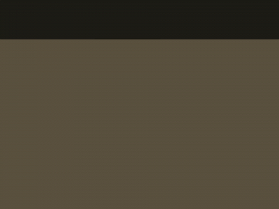 bhpinspections.com snapshot