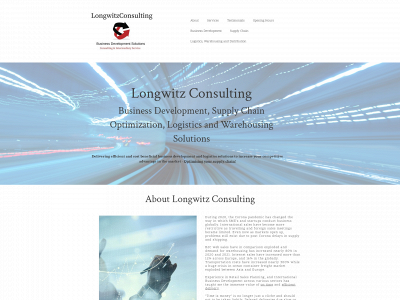 longwitzconsulting.com snapshot