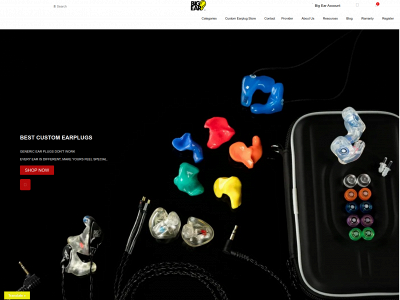bigearinc.com snapshot