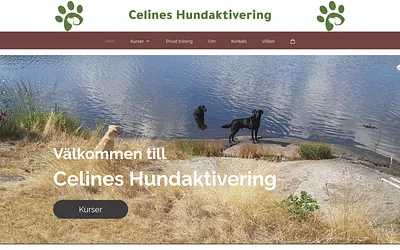 celineshundaktivering.se snapshot