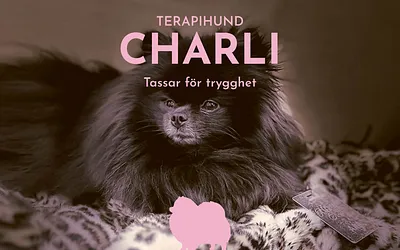 terapihundcharli.se snapshot