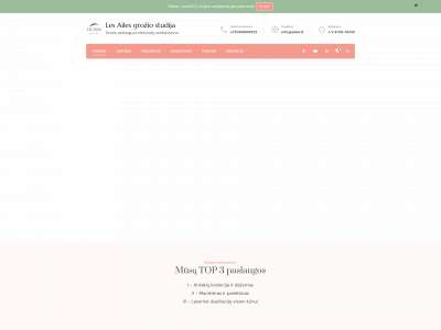 ailes.lt snapshot