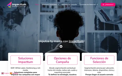 impacttum.com snapshot