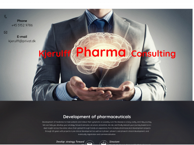 kjerulffconsult.dk snapshot