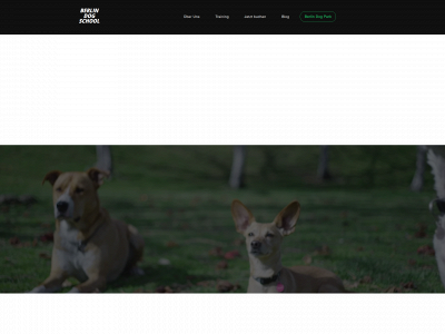 berlindogschool.de snapshot
