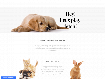 poeboxopener.weebly.com snapshot