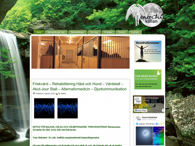 enerchikallan.se snapshot