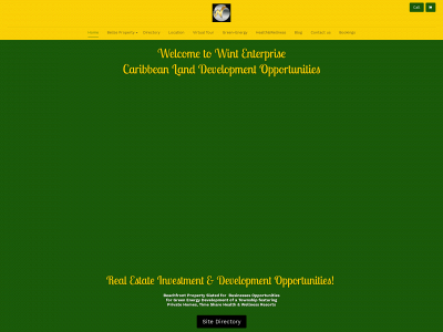 wintenterprise.biz snapshot