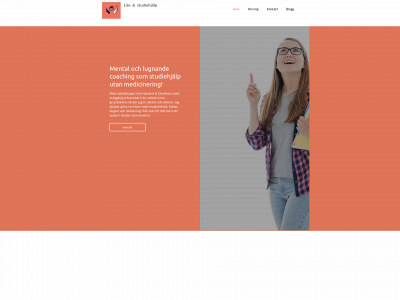nationellastudiehjalpen.se snapshot