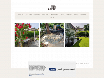 radix-meier.ch snapshot