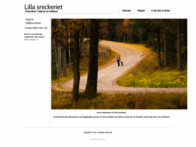 lillasnickeriet.se snapshot