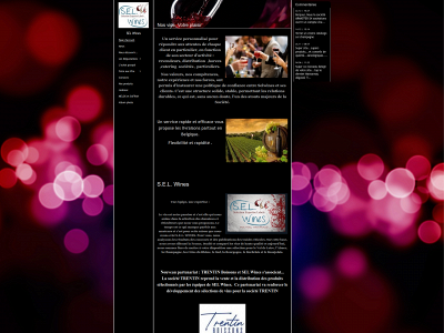 selwines.be snapshot