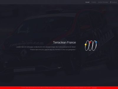 terraclean.fr snapshot