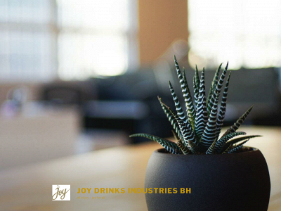 joydrinksindustries.com snapshot