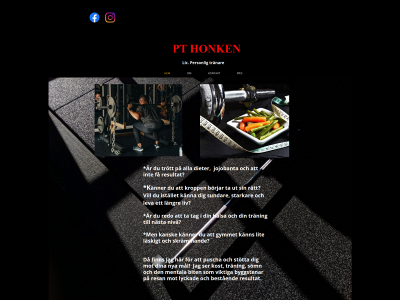 pthonken.se snapshot