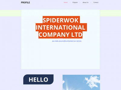 spiderwok.com snapshot