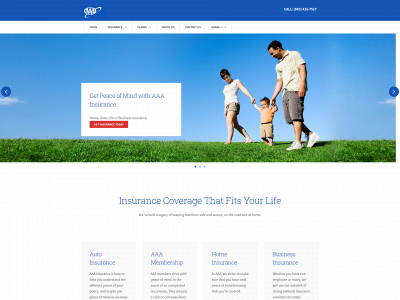 seainsurancesolutions.com snapshot