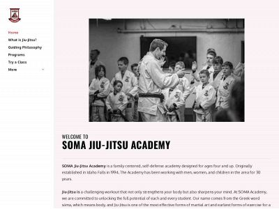 www.idahofallsbjj.com snapshot