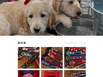 woof1.weebly.com snapshot