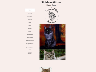 sinhtsunkitthas.se snapshot