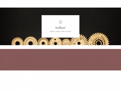 stellout.com snapshot