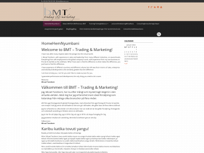 beemte.com snapshot
