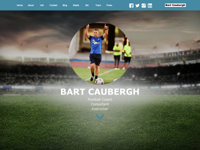 bartcaubergh.com snapshot