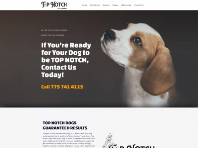 topnotchnevada.com snapshot