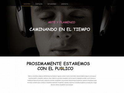 caminandoeneltiempo.com snapshot