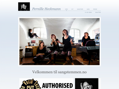 sangstemmen.no snapshot