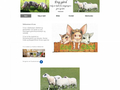 eng-gaard.com snapshot
