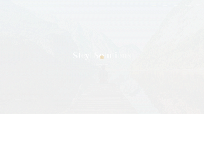 steylsolutions.com snapshot