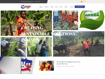 freedomsdreamglobal.org snapshot