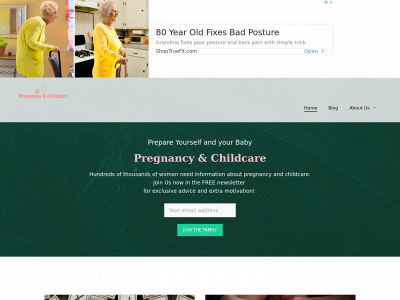 pregnancychildcare.com snapshot