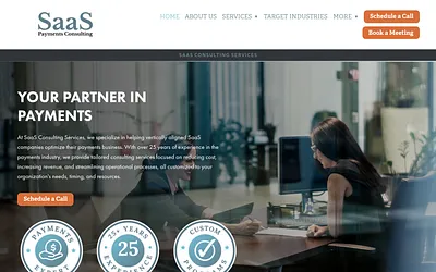 saaspaymentsconsulting.com snapshot
