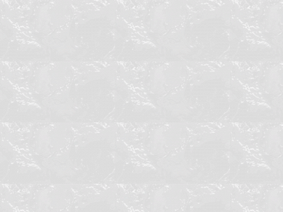 sansvisage.se snapshot