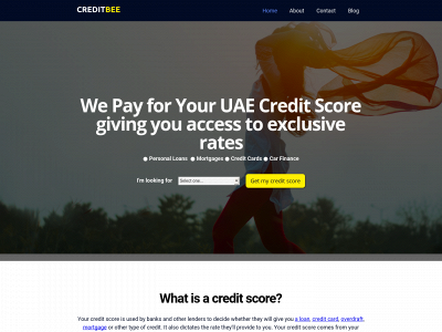 creditbee.ae snapshot
