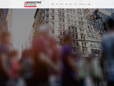 themarketingposse.com snapshot