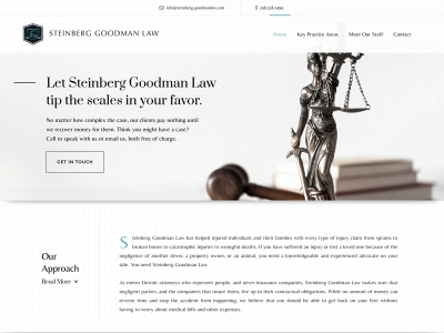 steinberg-goodmanlaw.com snapshot