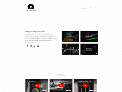 videografas.lt snapshot